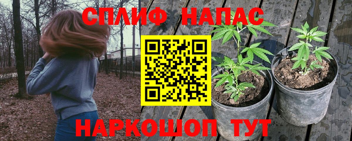 Каннабис конопля Лабытнанги
